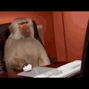 Meet your Posher, Cesar